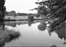 Etang de Renval 1954