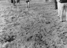 Athénée Cross mars 1986