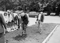 Ecole technique plantatation Orme par S.N.D 1980