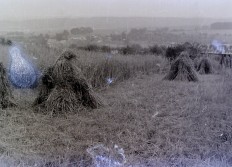 BASTOGNE Vieux métiers