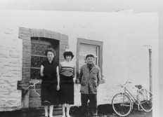 Hemroule  Americain Bruce Middouch 1984