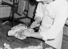 Fabrication du jambon