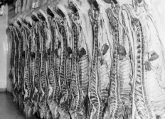 Médaille or Jambon 1977