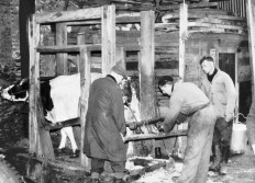 Marechal ferrant Georges Dechambre