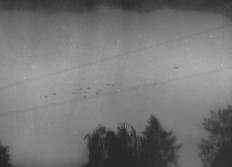 Foire aux noix Parachutage 1975