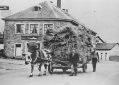 Bourcy Attelage de Boeufs
