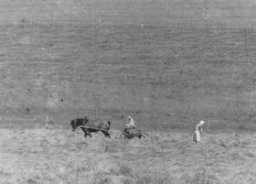 Fanage à la ferme Besling Pied du Mardasson